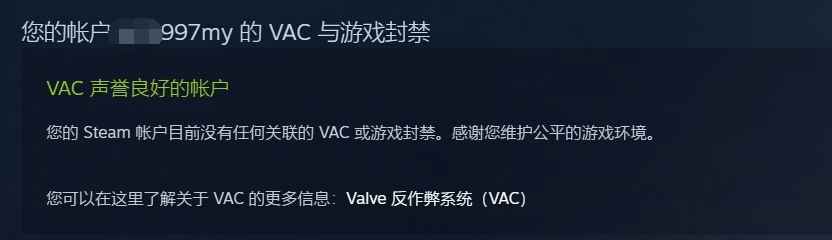 CSGO超赞的Steam大作看图