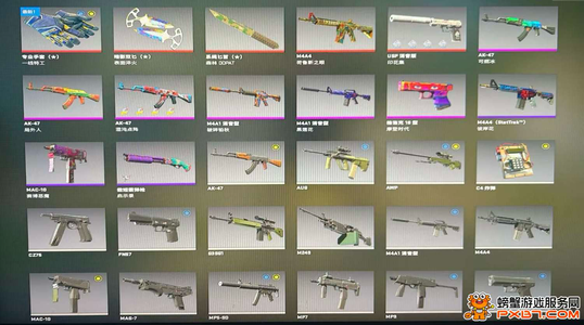 CSGO红锁5e完美未注册