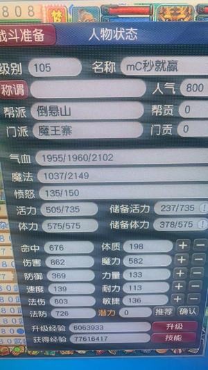 梦幻西游（端游）11111