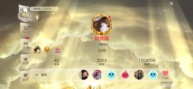 球球大作战冰火人手年卡99进化等级