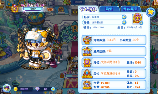 洛克王国9年费2400图鉴39皮肤