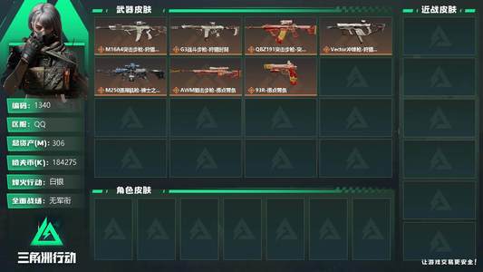 三角洲行动总资产306M 白银
