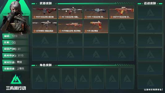 三角洲行动总资产61M 青铜
