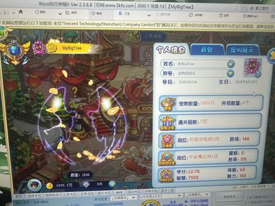 洛克王国四年费，全奉神，全精灵王，