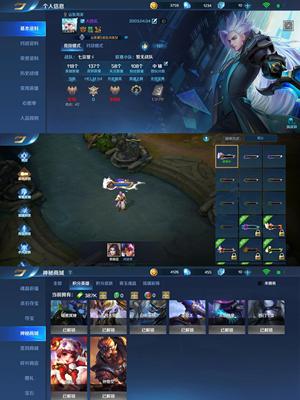 英魂之刃【45级】西门流光飞刃动如雷震血条等