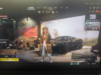 绝地求生（PUBG）10成长型皮肤