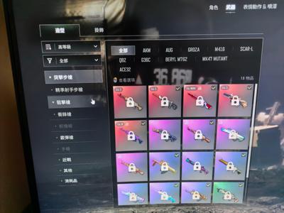 绝地求生（PUBG）生存等级1831 名誉等级4 成长武器10 究极 载具 枪皮满级无信号m4，悟空m24