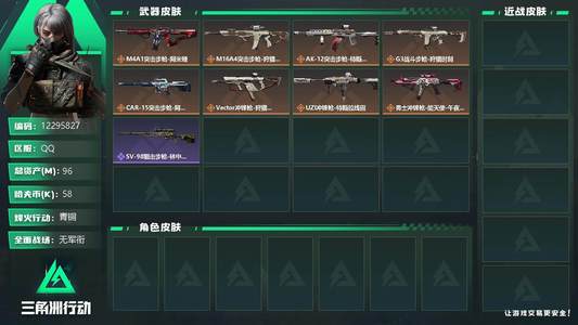 三角洲行动总资产96M 青铜