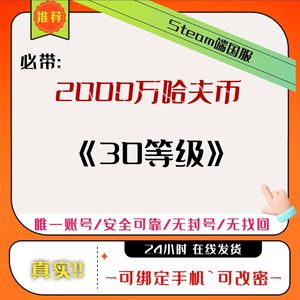 三角洲行动（Steam）【总资产2000,0000M 】带/2000万哈夫币-30级*