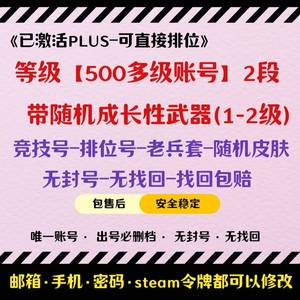 绝地求生（PUBG）排位号/500级^带成长性武器