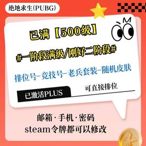绝地求生（PUBG）已激活/排位号*500级-2段