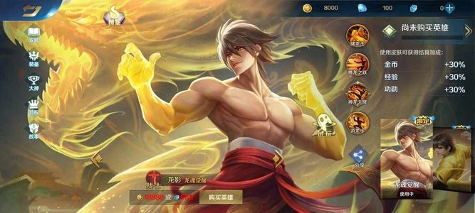 英魂之刃【5级】龙魂觉醒皮肤