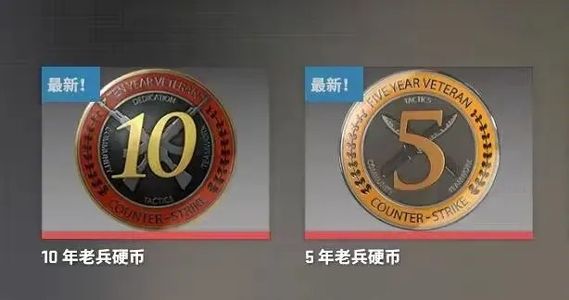 CSGOCS十年老兵勋章账号