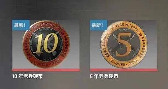 CSGOCS十年老兵勋章账号