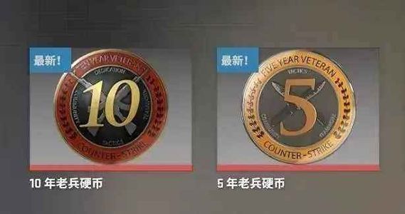 CSGOCS十年老兵勋章账号