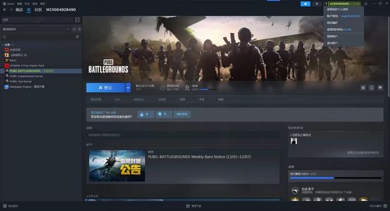 绝地求生（PUBG）pubg账号