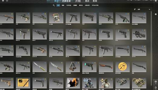 CSGOCSGO 优先账户