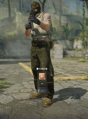 CSGOcs优先 2牌子带初