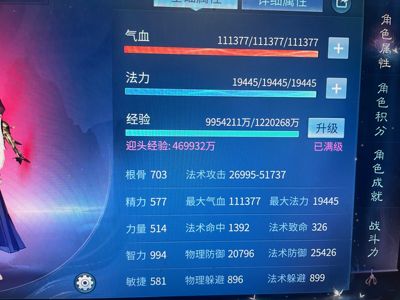 倩女幽魂满级仙家画魂