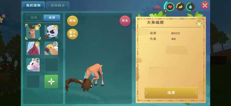 买274号赠165号7