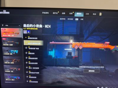 绝地求生（PUBG）2级M24成长武器，美杜莎套装