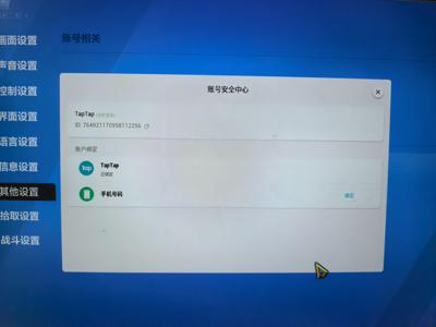 火炬之光：无限黑潮，手机未绑定，冰焰时装一套