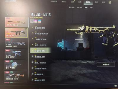 绝地求生（PUBG）生存等级15 名誉等级2 成长武器 究极 载具 枪皮5级猪八戒 1级小夜曲M24