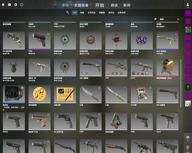 CSGOcsgo绝版艾利克斯半衰期