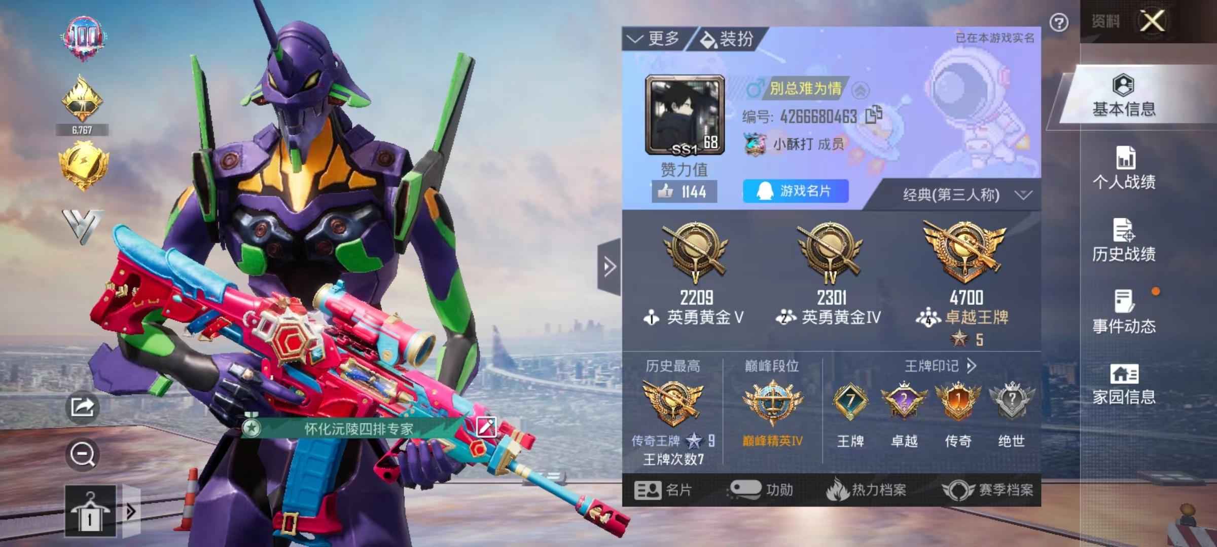 和平精英1载具 5升级枪 5粉装 146枪皮 121套装 47456热力 7印记 王牌