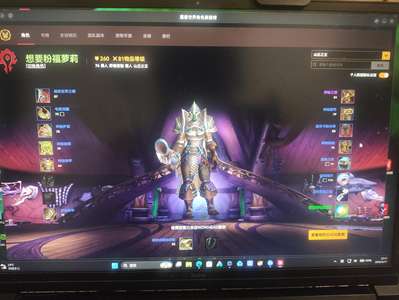 魔兽世界76级兽王猎低价出了时间有29