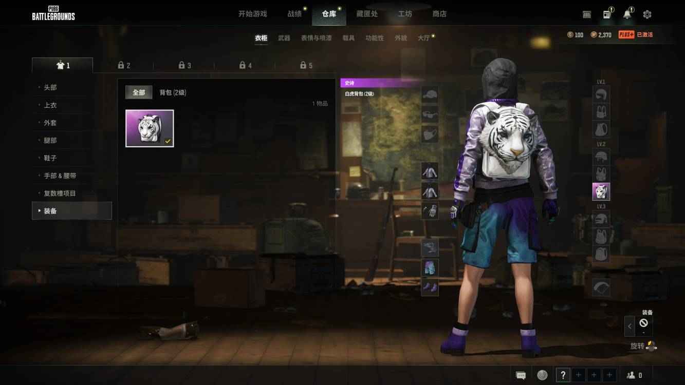 绝地求生（PUBG）朱雀M4-白虎背包-手套-图