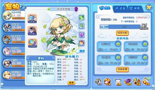 洛克王国【100级】双年费，帅帅萌少