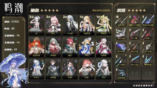 鸣潮【80级】11女团8专武 31椿 11