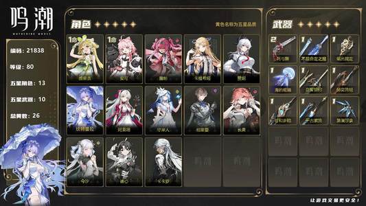 鸣潮【80级】全皮肤8女团6专武 大保底垫
