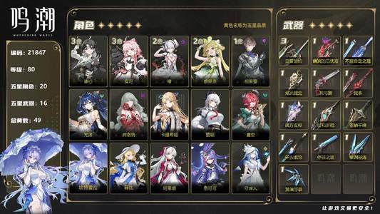 鸣潮【80级】武器垫50多抽多图鉴