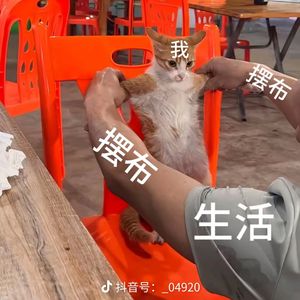 蛋仔派对【苹果版】详细请私看看