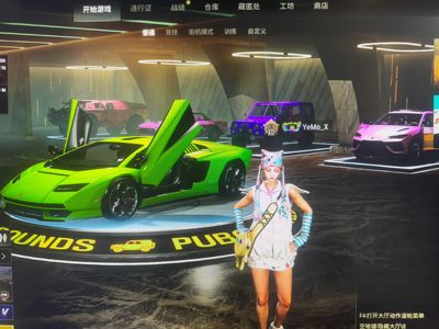 绝地求生（PUBG）兰博基尼跑车加suv双车漆