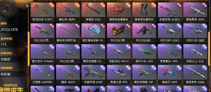 绝地求生（PUBG）美杜莎 悟空 可排位