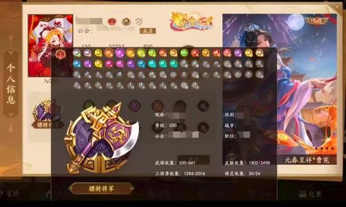 三国杀十周年（端游）4399骠骑将军509将武陆逊