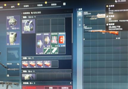 三角洲行动（Steam）【总资产25M 铂金】30级2400纯币