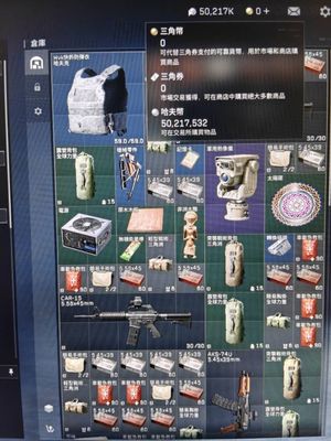 三角洲行动（Steam）35级5000W纯币