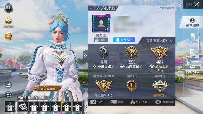 和平精英天之羽翼全套