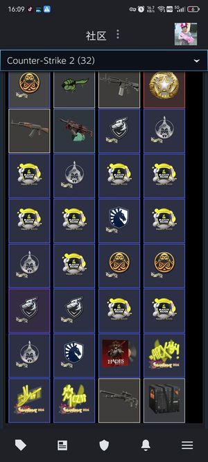 CSGO5e完美都有还有好游戏