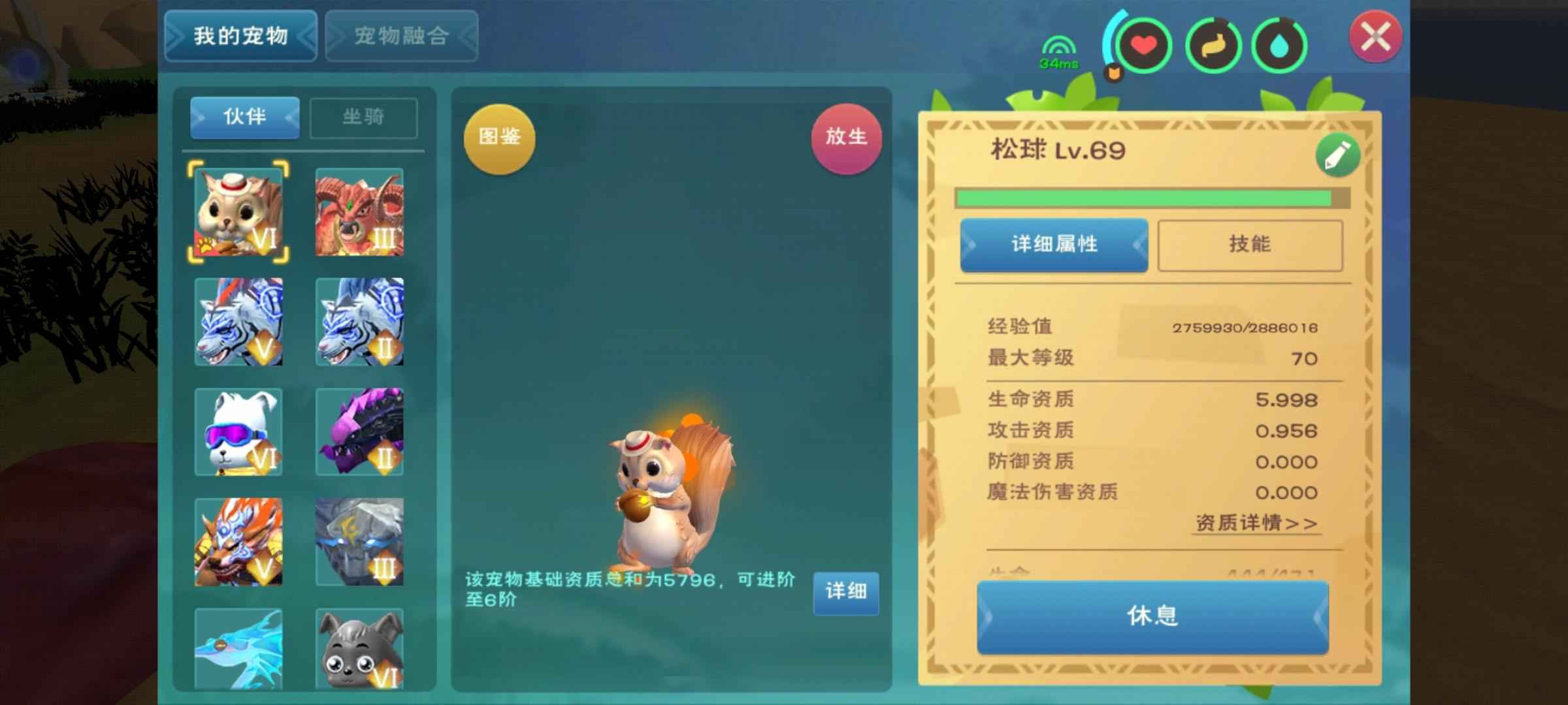 创造与魔法飞马高战号nb666