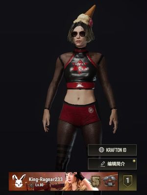 绝地求生（PUBG）小皮肤可排位带1400gb