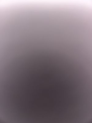 阴阳师【苹果版】长期收极品编号