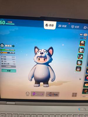 元梦之星60级毕业号，全网最低
