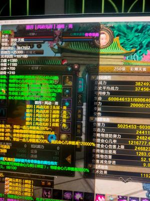 新寻仙（端游）【250级】出战云台八尧龙骨毕方游侠号