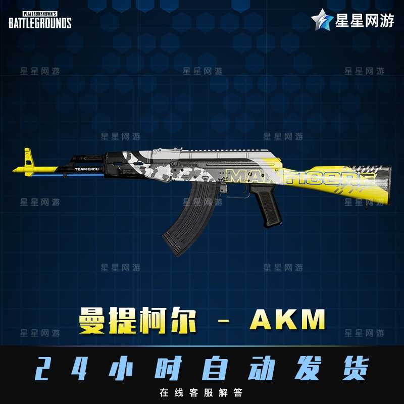 绝地求生（PUBG）【担保】-曼提柯尔AKM吃鸡AK枪皮肤