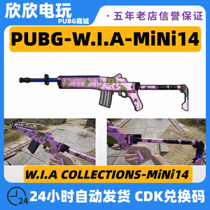 绝地求生（PUBG）W.I.A-MiNi14迷你枪